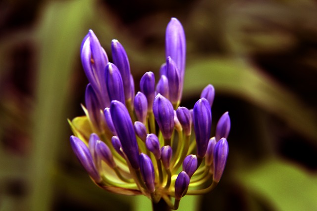 莱奥：阿莱格里对我没有太多具体要求，只是让我保持自由发挥