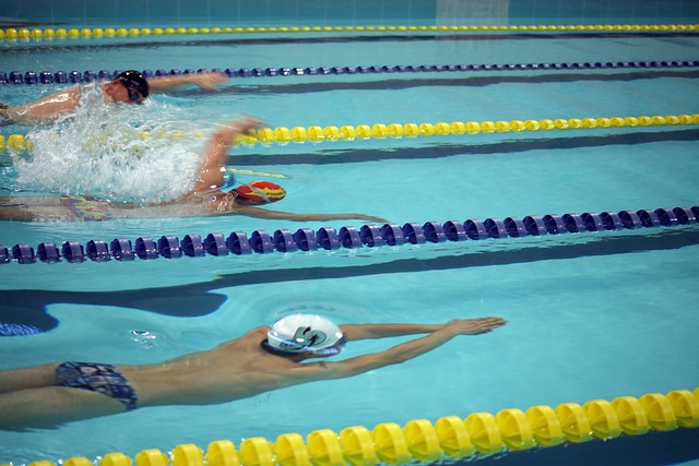 会运动项目 会运动项目