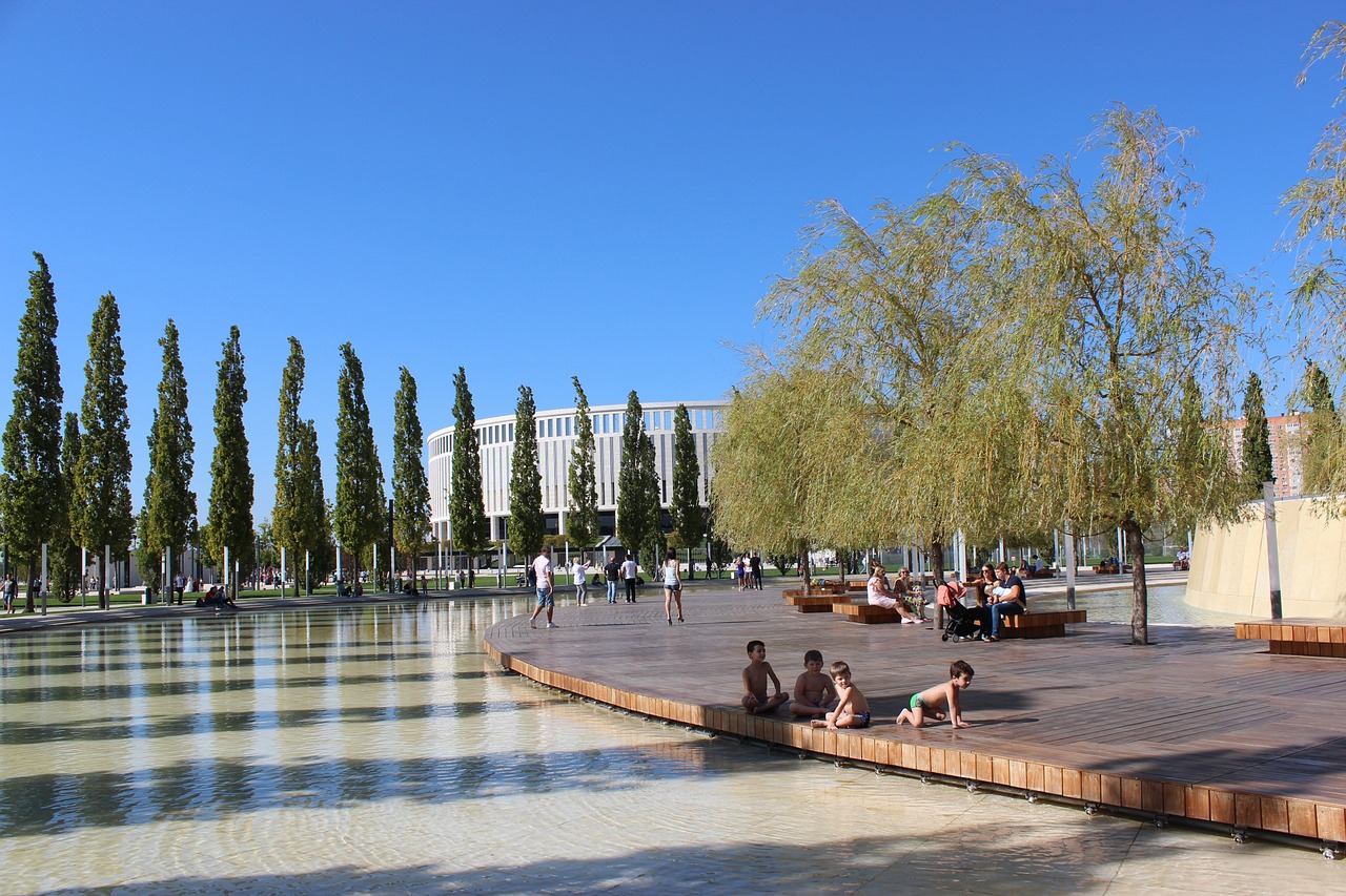 在比赛中的 在比赛中的