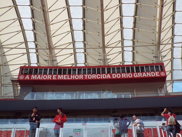 引发国际社 引发国际社