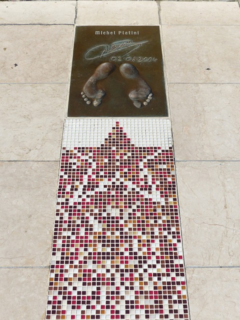 冠军队伍是 冠军队伍是