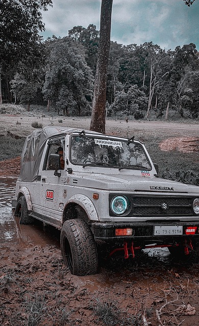 库明加讨论 库明加讨论