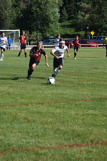 大都会球场 大都会球场