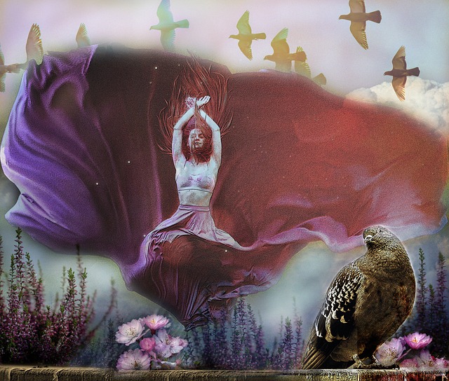 仅让广大马 仅让广大马