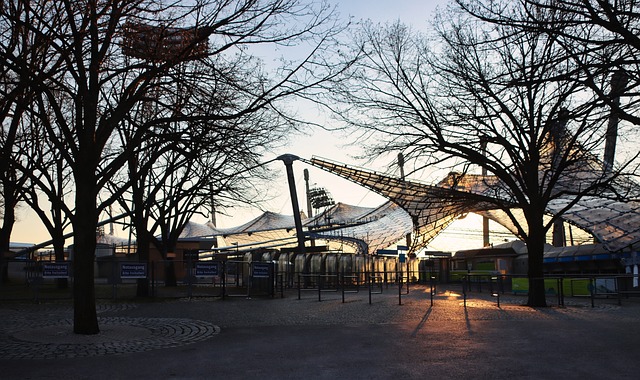 赛中绽放光 赛中绽放光